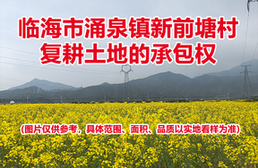 临海市涌泉镇新前塘村复耕土地的承包权